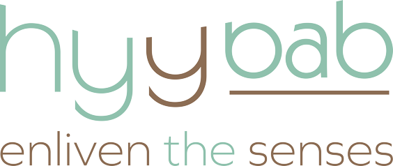 Hyybab Logo